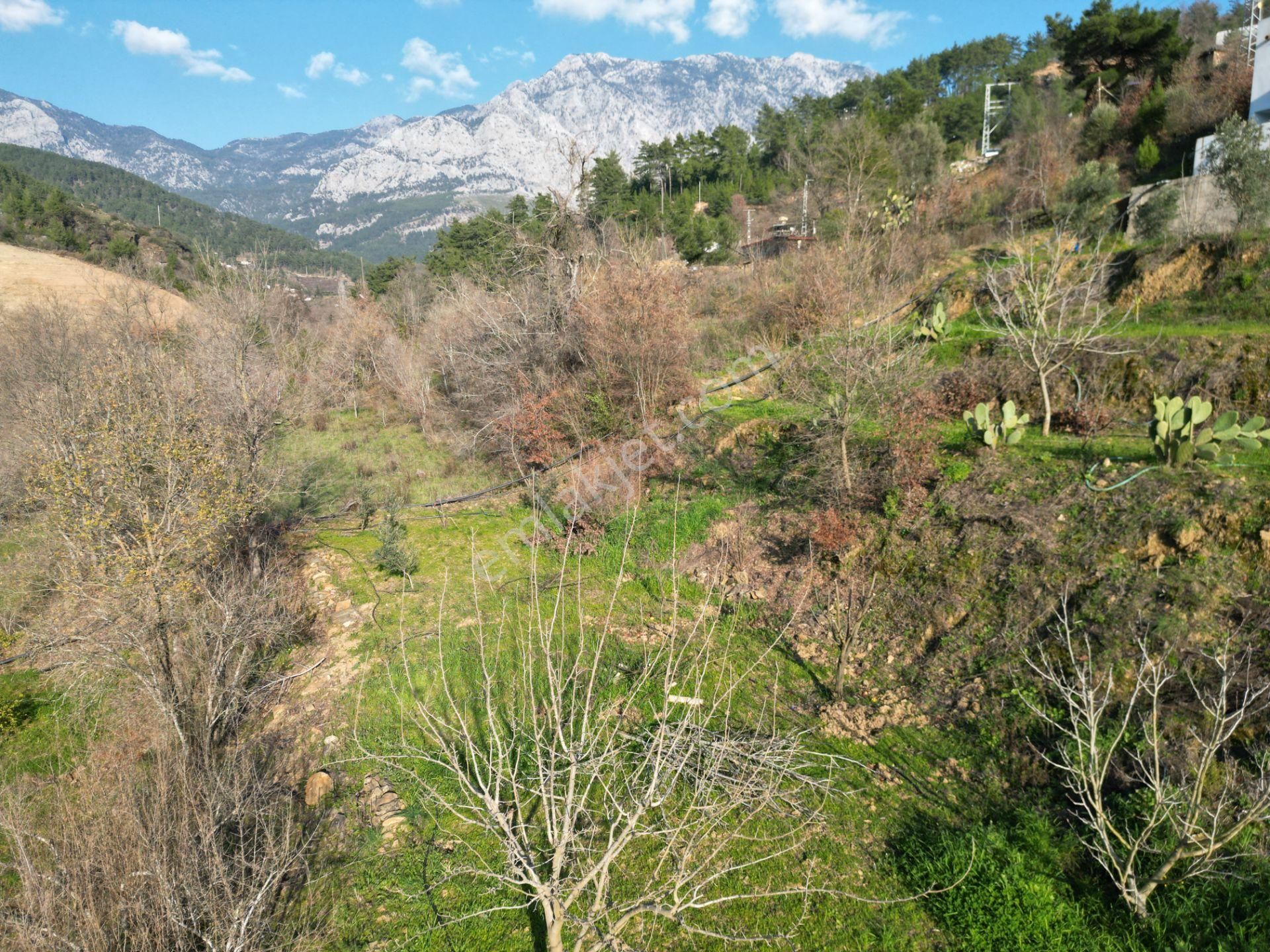 Alanya Sapadere Mahallesinde Hazır Kurulu Düzen Satılık Bahçe Ve Bahçe Evi - Görsel 18