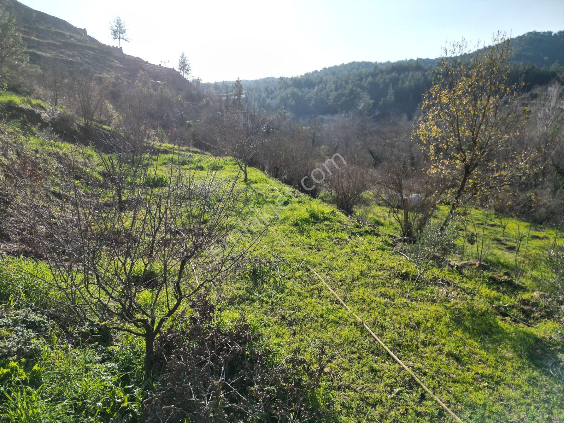 Alanya Sapadere Mahallesinde Hazır Kurulu Düzen Satılık Bahçe Ve Bahçe Evi - Görsel 23
