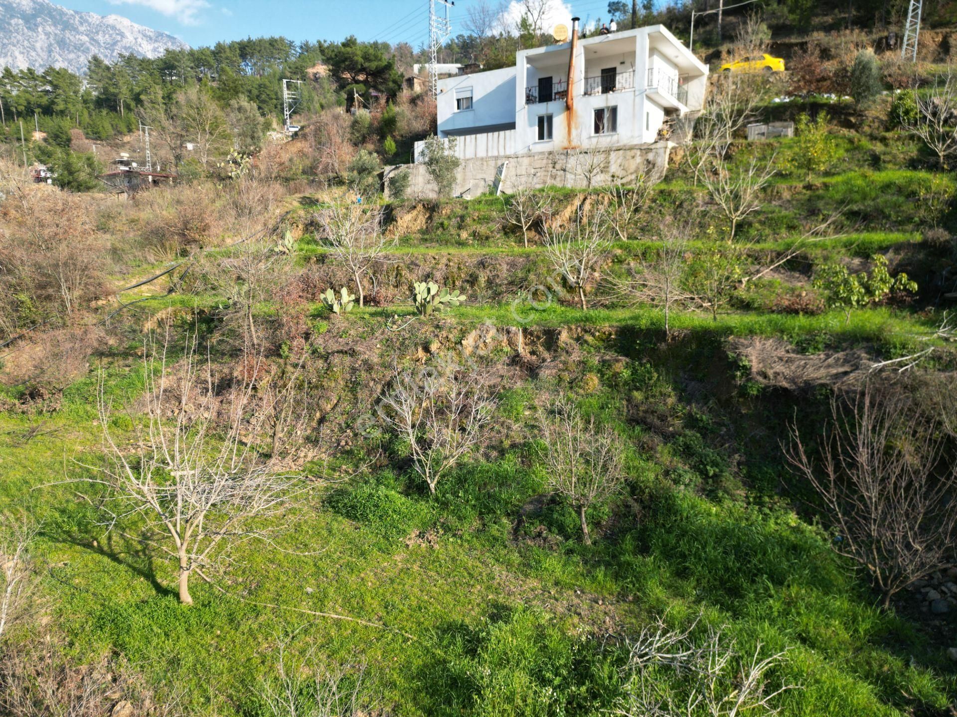 Alanya Sapadere Mahallesinde Hazır Kurulu Düzen Satılık Bahçe Ve Bahçe Evi - Görsel 11