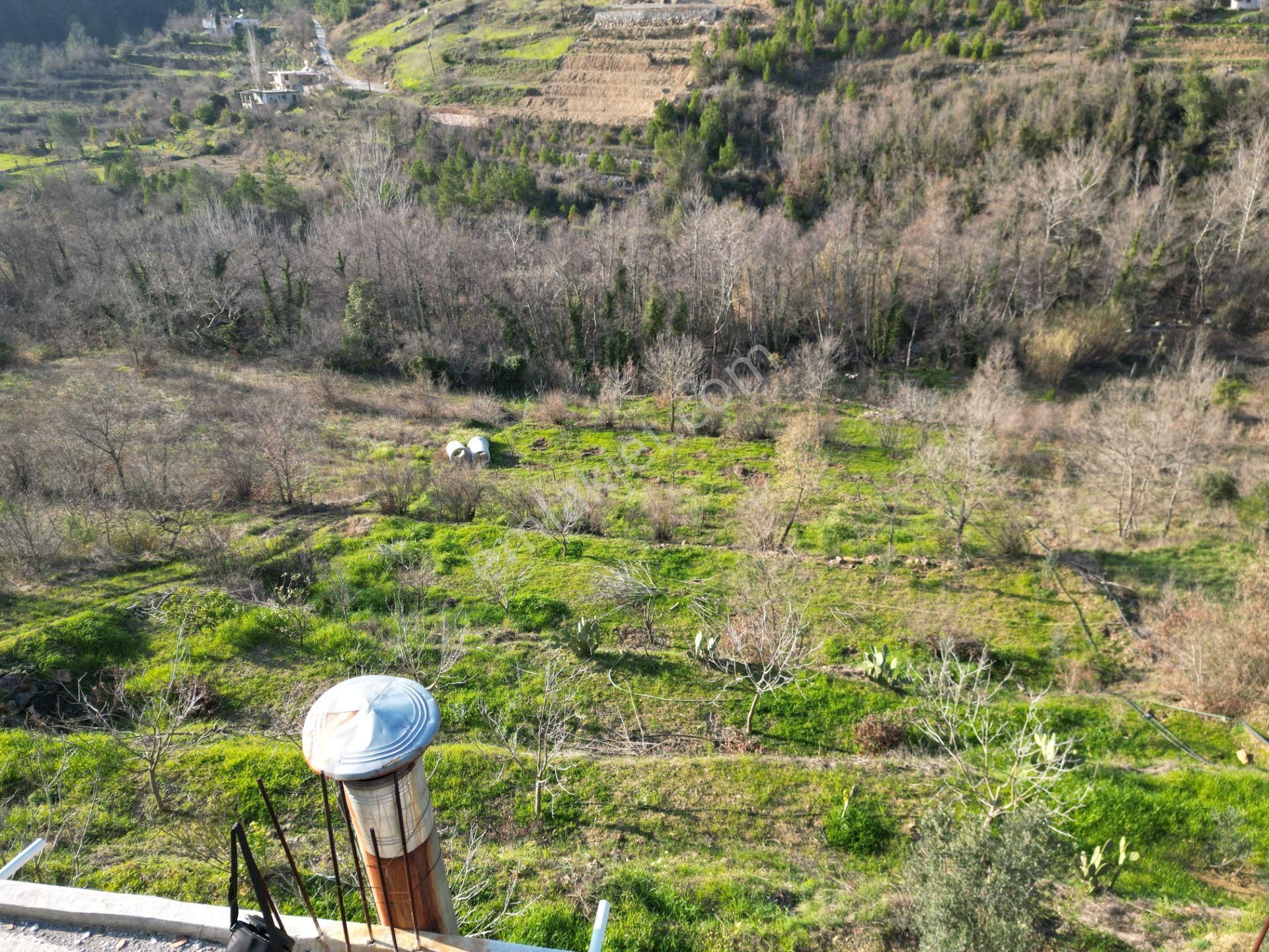 Alanya Sapadere Mahallesinde Hazır Kurulu Düzen Satılık Bahçe Ve Bahçe Evi - Görsel 19