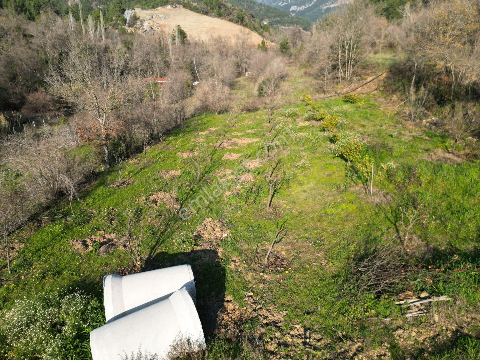 Alanya Sapadere Mahallesinde Hazır Kurulu Düzen Satılık Bahçe Ve Bahçe Evi - Görsel 14