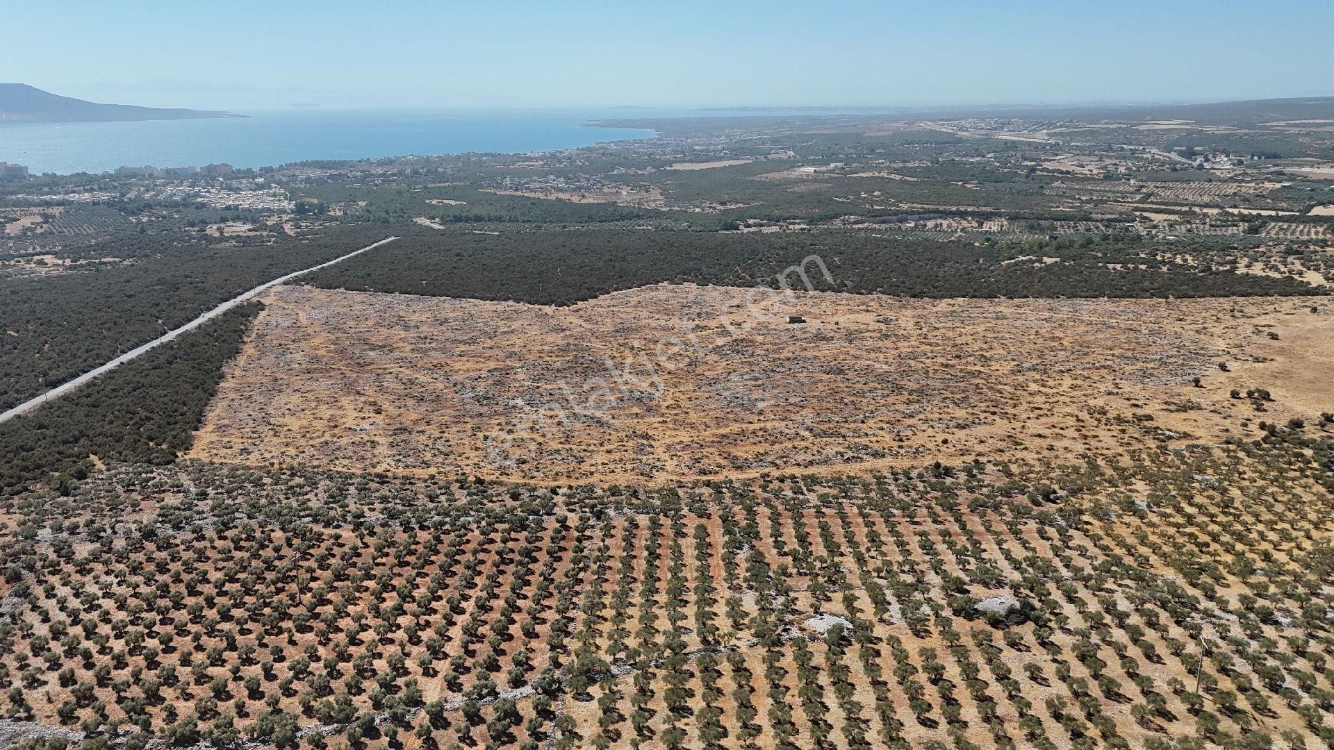 Didim Efeler Satılık Konut İmarlı Caglak İnşaat Tan Efeler De 2 Vıllalık Fırsat Yatırımlık Arsa