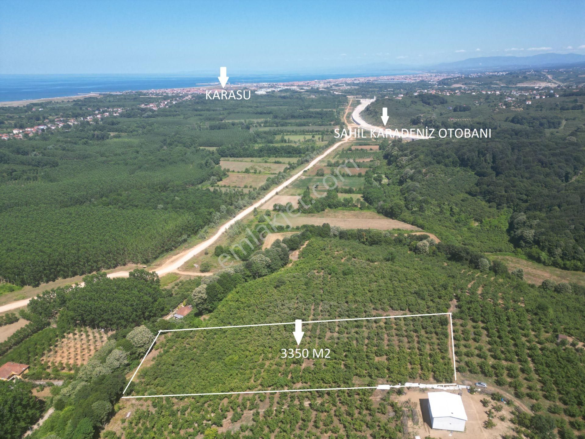 Deniz Manzaralı Müstakil Tapulu Fındıklık - Görsel 9