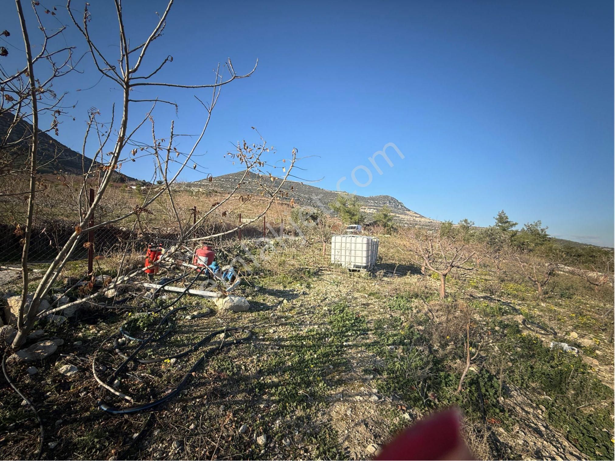 Toroslar Kepirli Satılık Bağ & Bahçe Sahibinden Kepirli Belenoluk Ta Satılık Elma Bahçesı