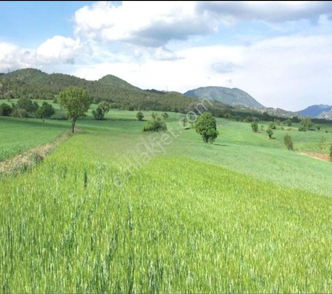 Bolu Göynük Satılık Tarla Göynük Te Arsa