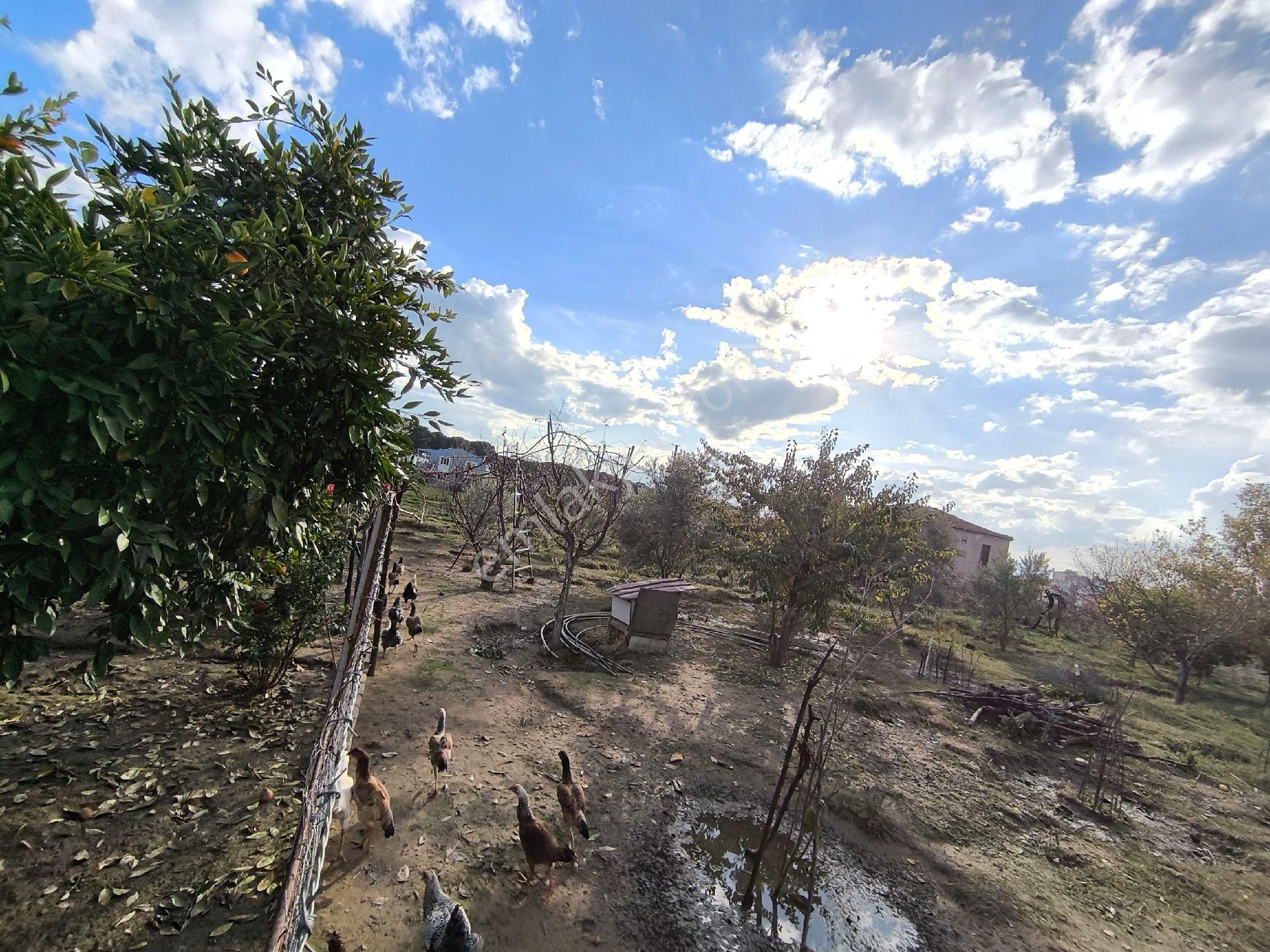 Sultanhisar'da Satılık Müstakil Bahçeli Ev - Görsel 9