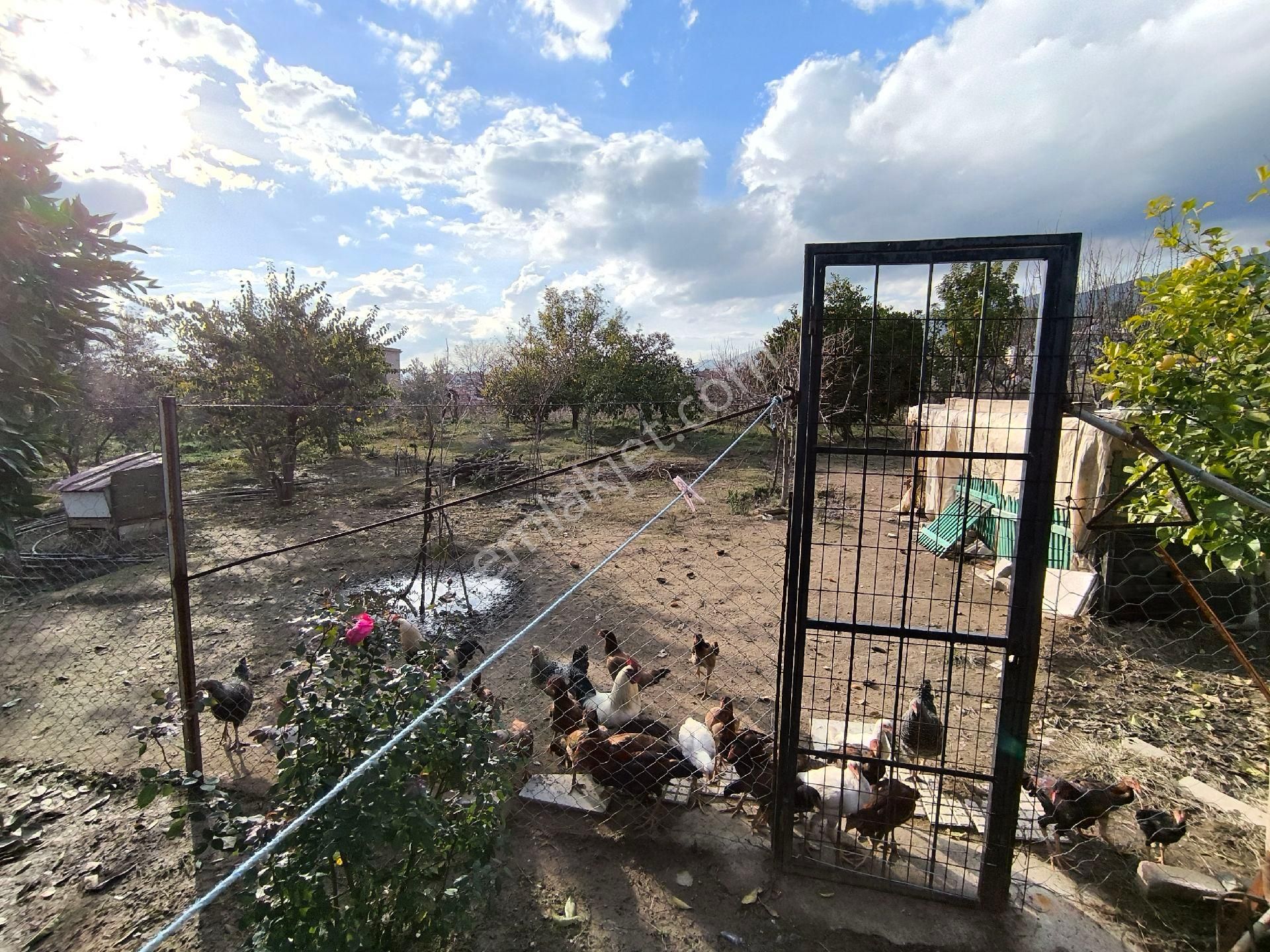 Sultanhisar'da Satılık Müstakil Bahçeli Ev - Görsel 8