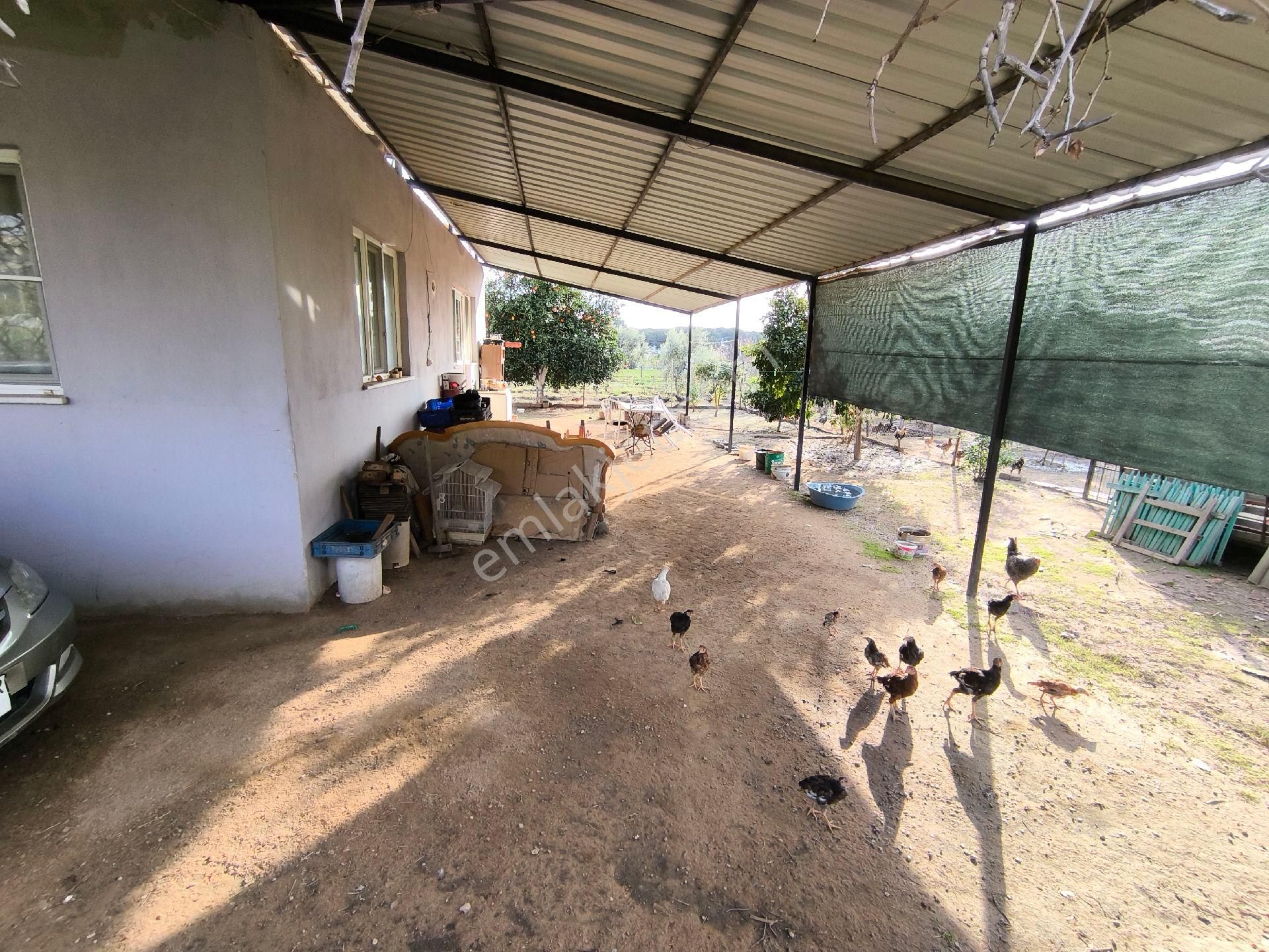 Sultanhisar'da Satılık Müstakil Bahçeli Ev - Görsel 6