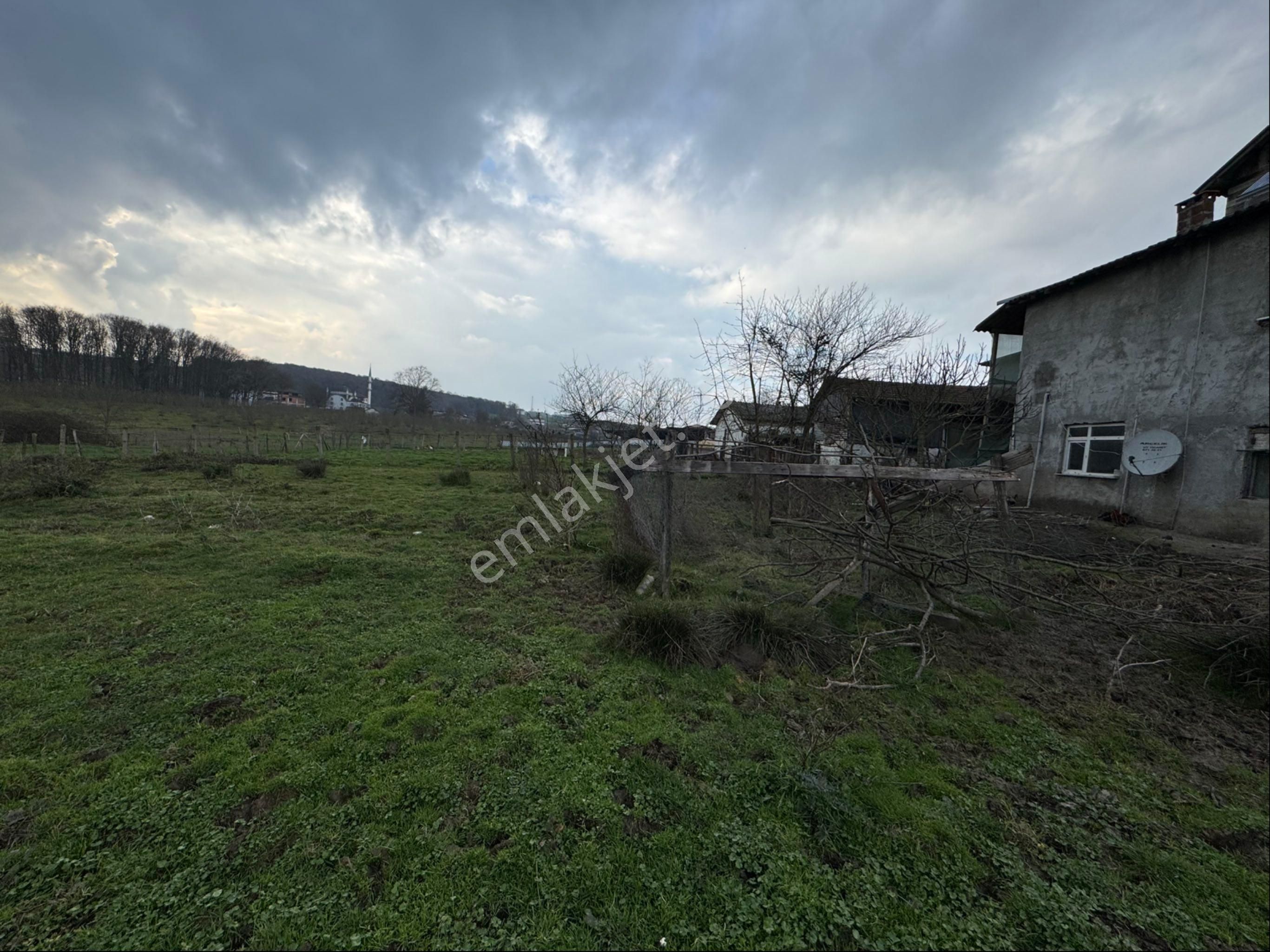 Kaynarca Turnalı Satılık Tarla 7 Bölge Den Kaynarca Turnalı Da Satılık Yola Cephe Köy İçi Tarla