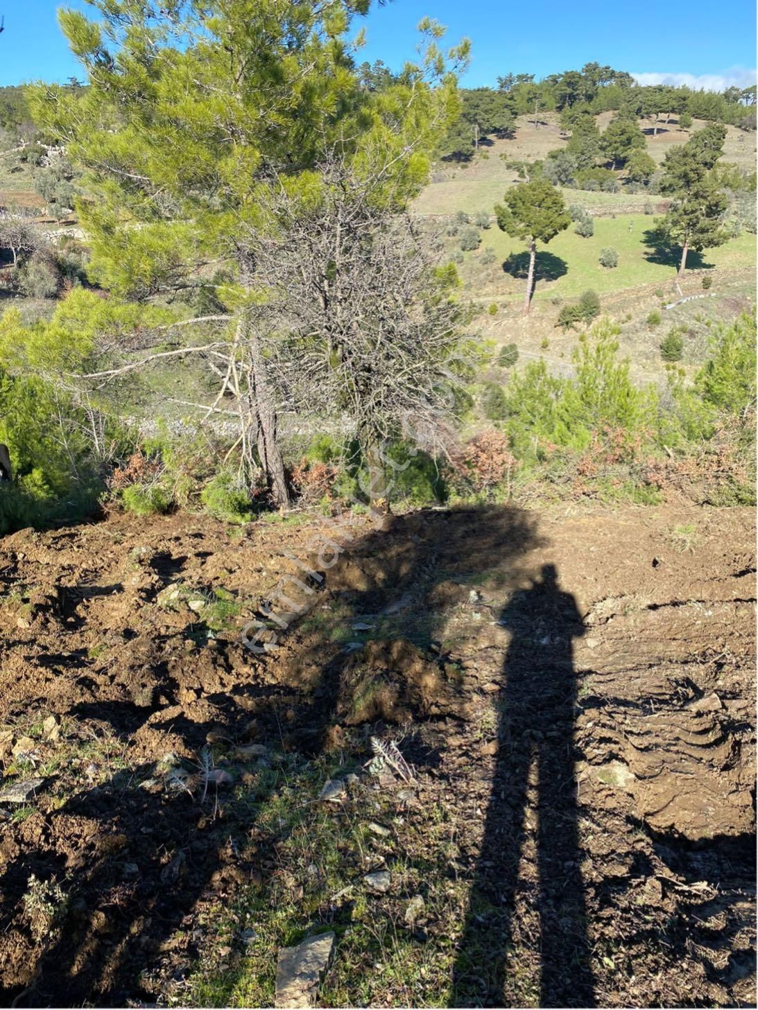 Muğla Menteşe Satılık Tarla Muğla Meke Mahallesi Yatırımlık Satılık Tarla