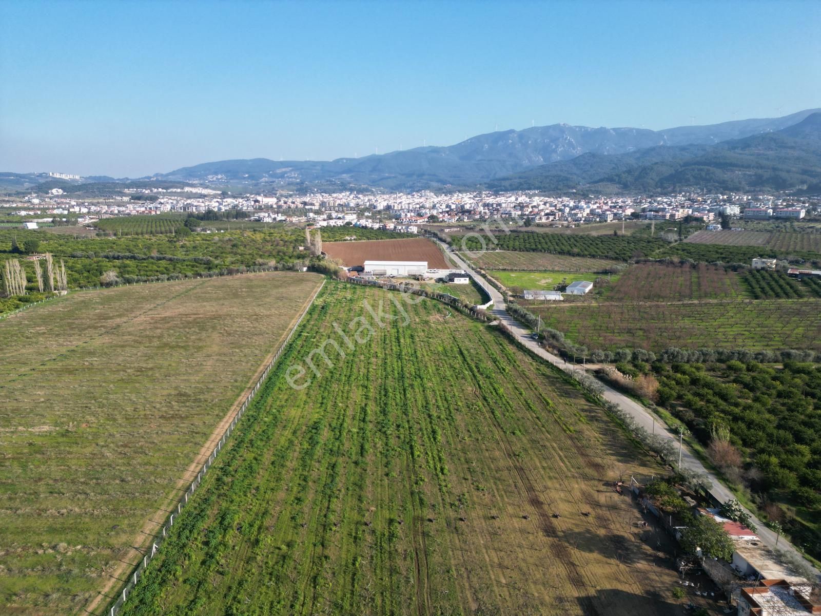 Kuşadası Davutlar Satılık Bağ & Bahçe Kuşadası Davutlar Merkezde 1/1000 Sınırında Satılık Eftali 🍑 Bahçesi