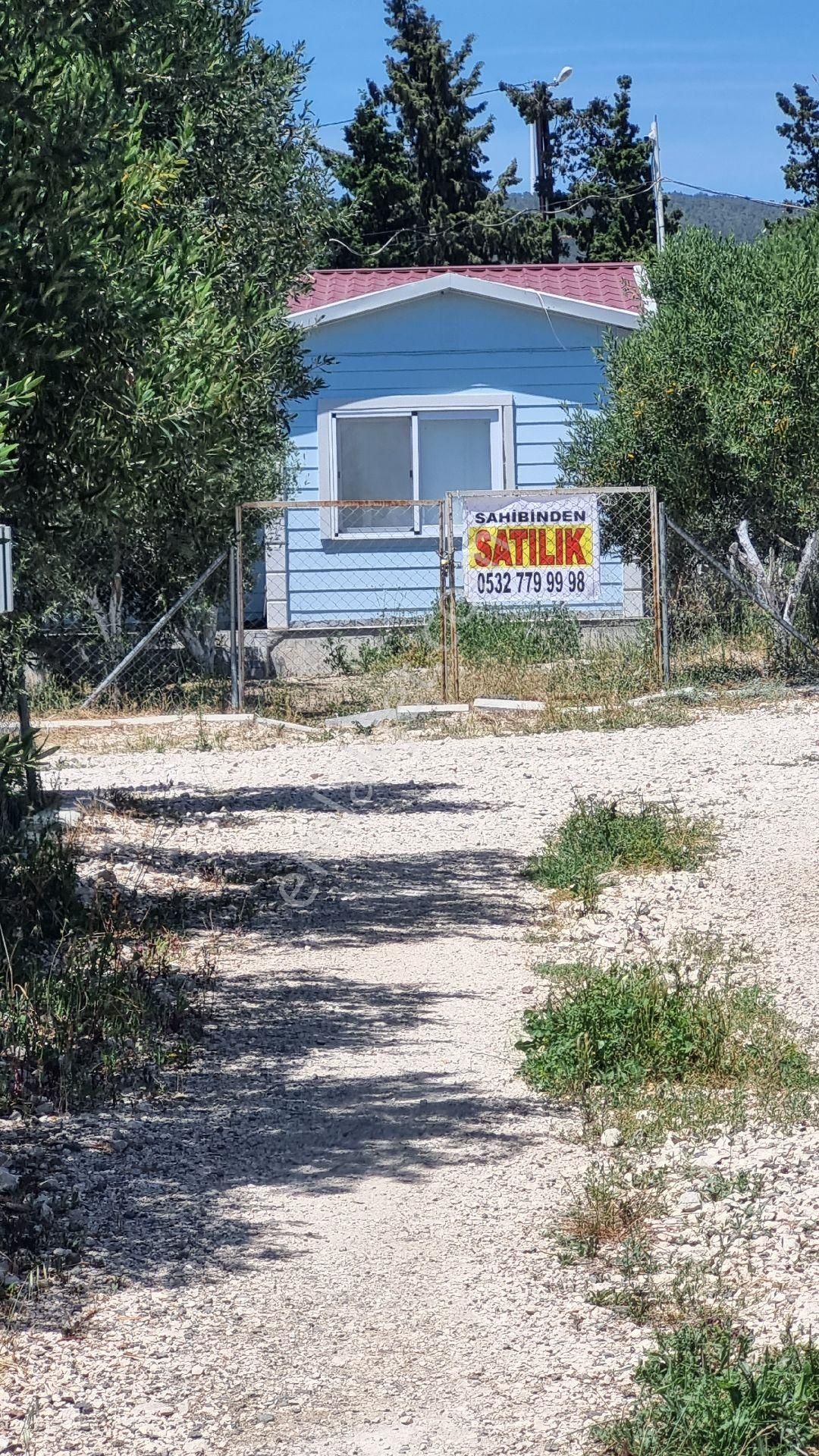 Foça Koca Mehmetler Satılık Bağ & Bahçe Acil Satılık Bahçe