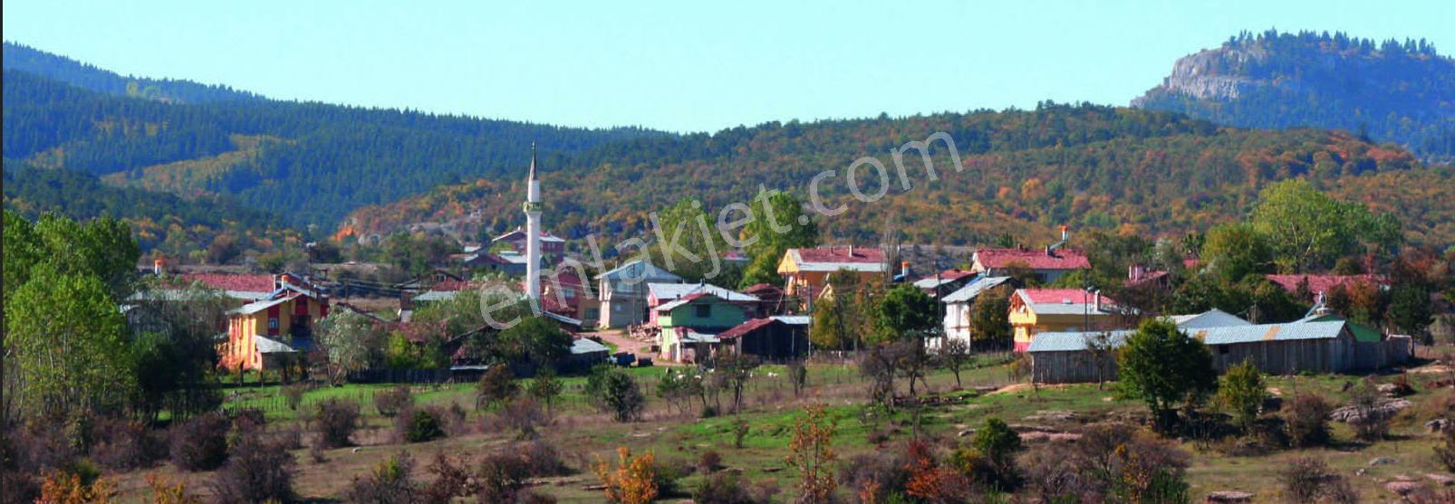 Kastamonu'da Orman İçinde Muhteşem Doğası İle Tarlalar - Görsel 16