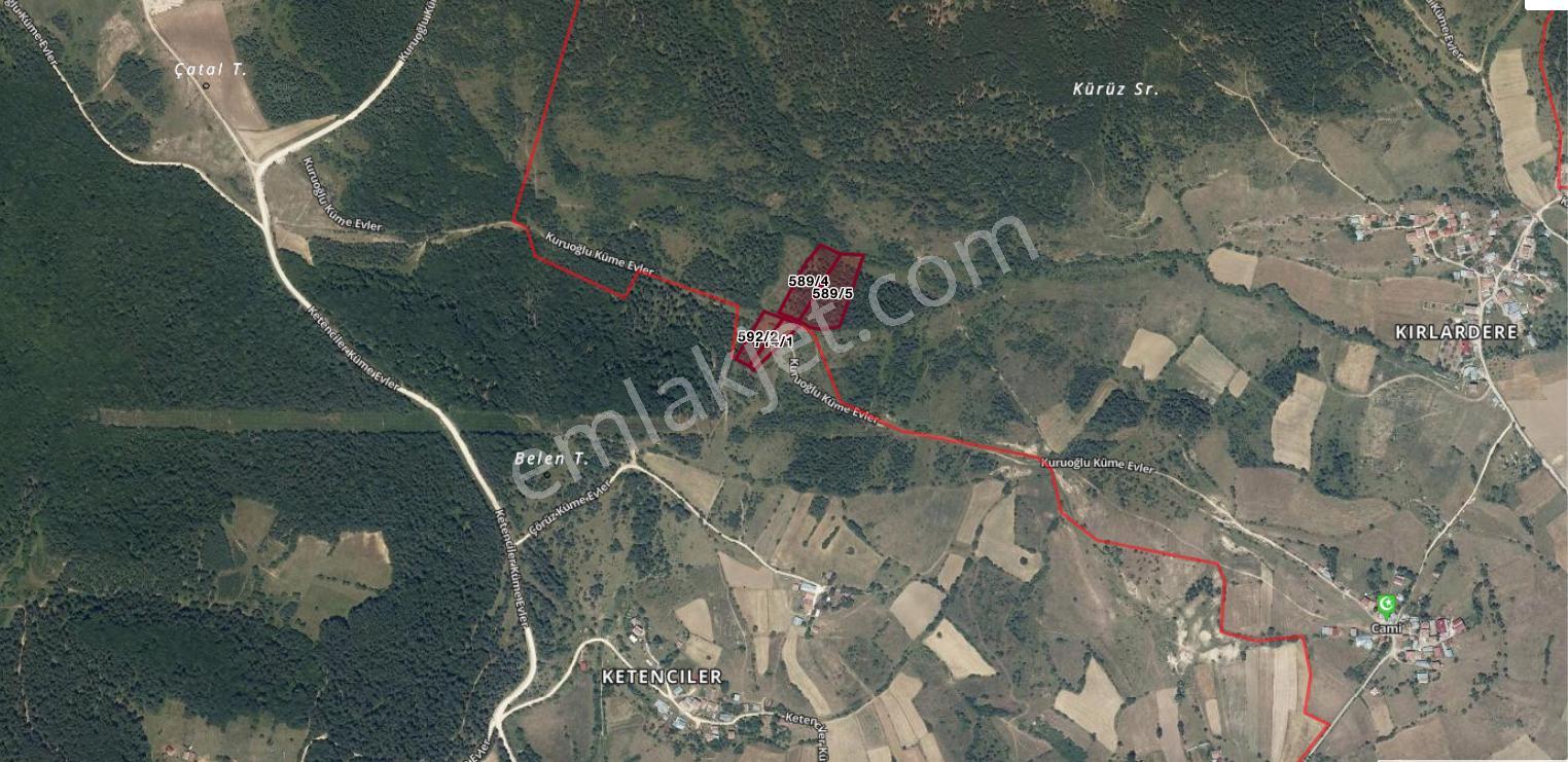 Kastamonu'da Orman İçinde Muhteşem Doğası İle Tarlalar - Görsel 13