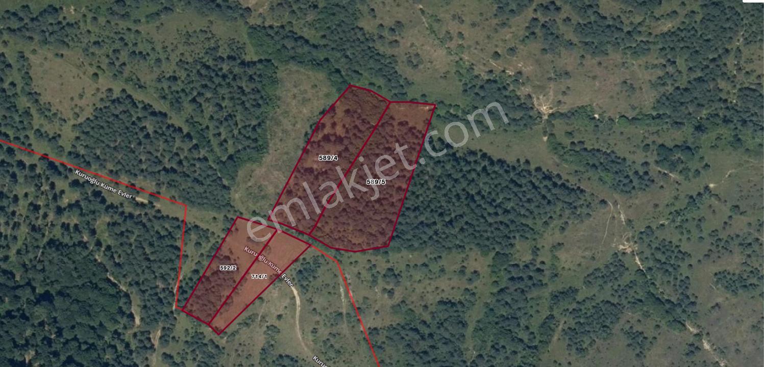Kastamonu'da Orman İçinde Muhteşem Doğası İle Tarlalar - Görsel 15