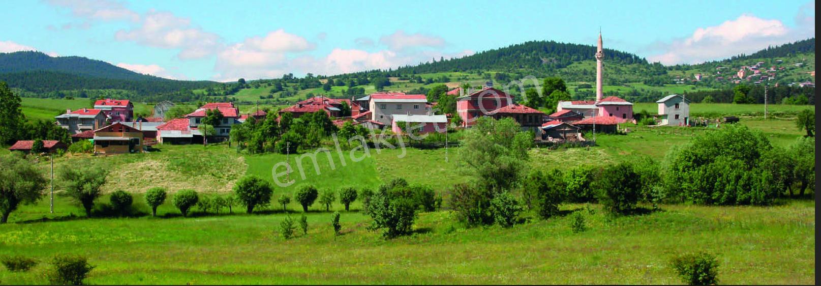 Kastamonu'da Orman İçinde Muhteşem Doğası İle Tarlalar - Görsel 6