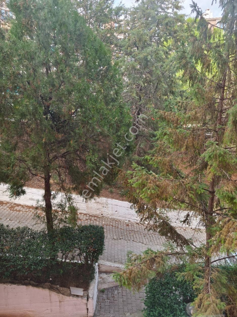 Sahibinden Satılık Daire Gemlik Cumhuriyet Mahallesi Manastır - Görsel 16