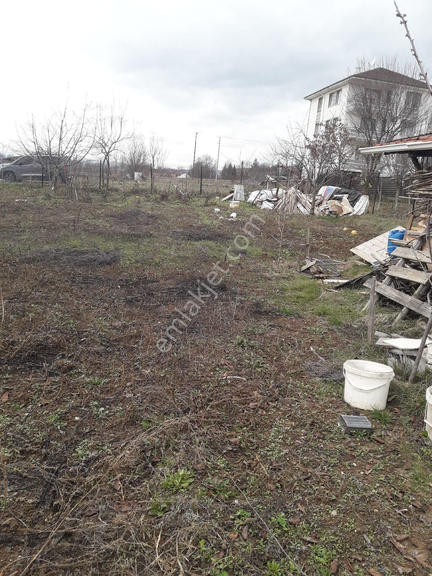 Bolu Merkez Sarıcalar Satılık Bağ & Bahçe Satılık Arsa