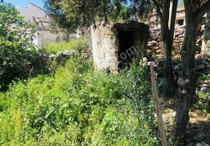 Muğla Milas Kazıklı Köyünde Müstakil Kargır Ev - Görsel 7