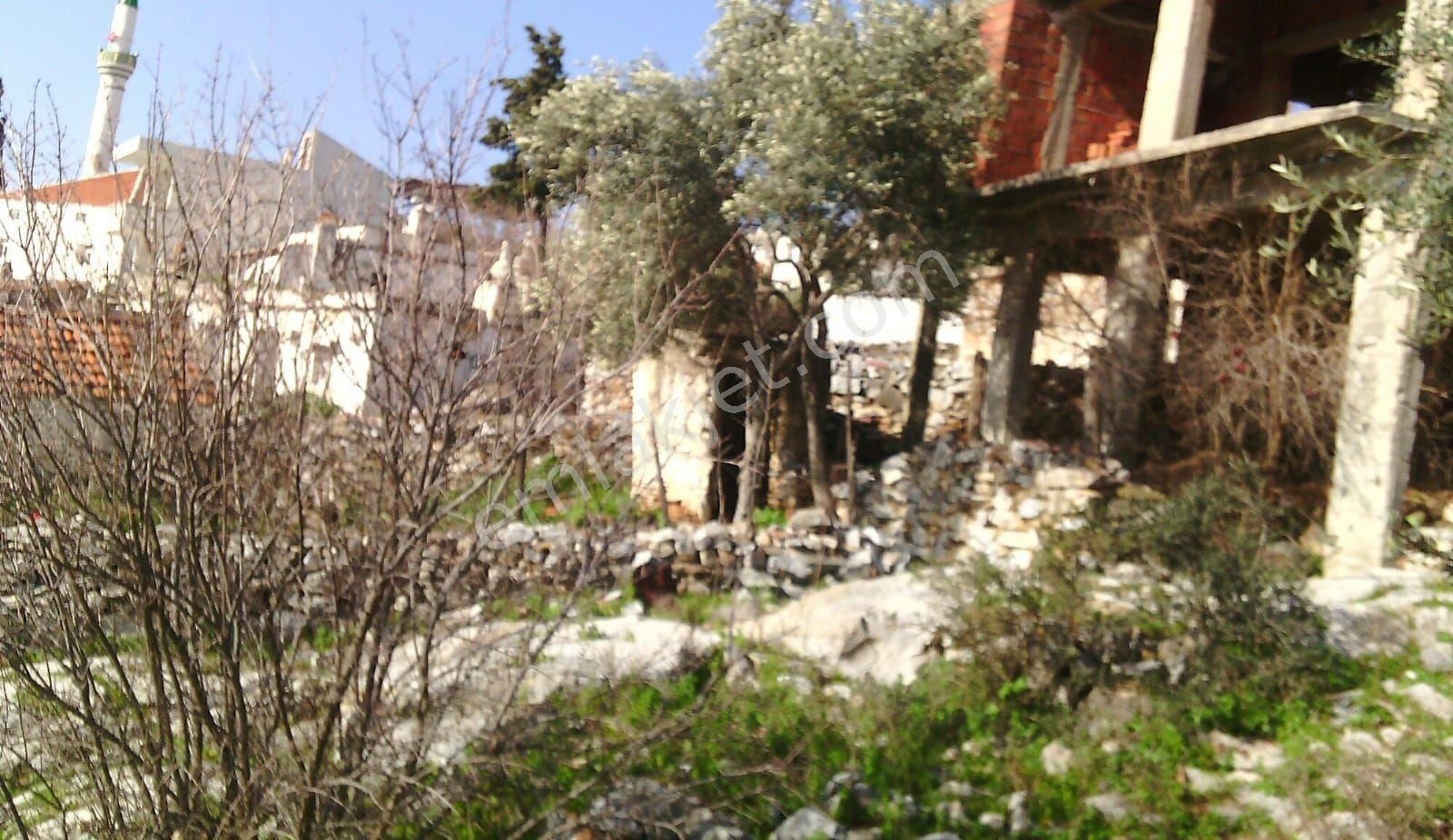 Muğla Milas Kazıklı Köyünde Müstakil Kargır Ev - Görsel 12