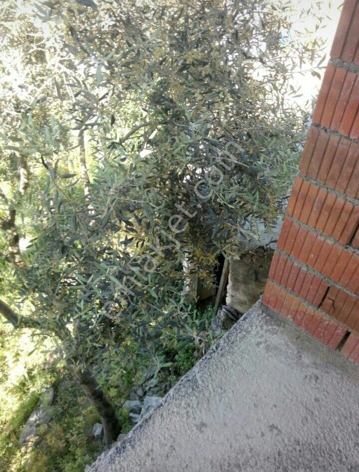 Muğla Milas Kazıklı Köyünde Müstakil Kargır Ev - Görsel 21