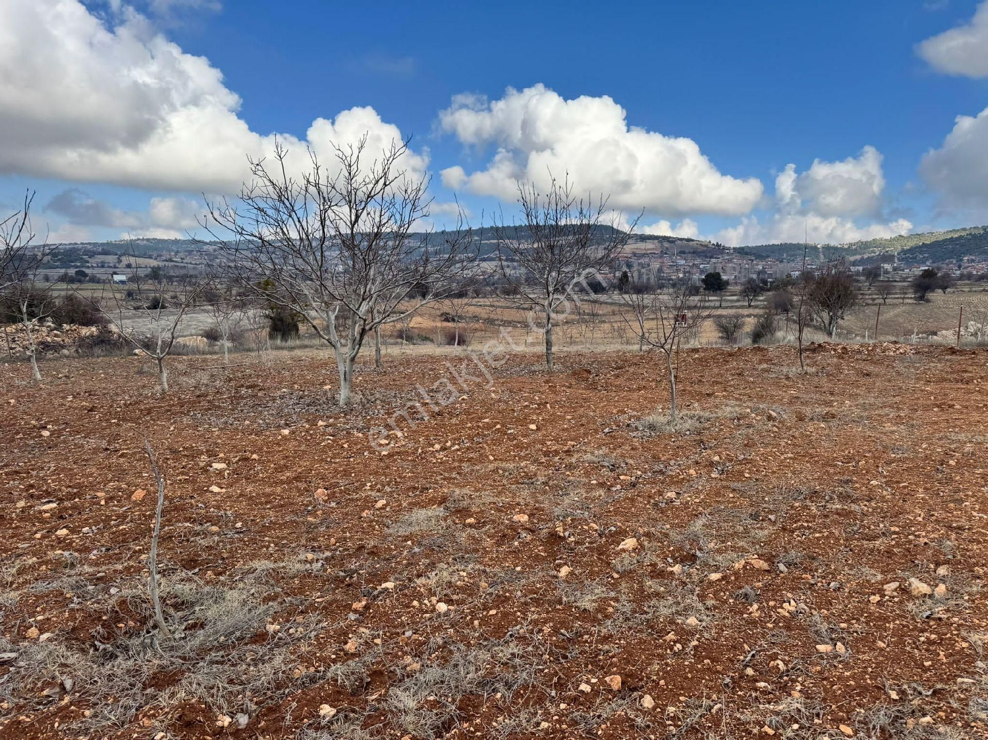 Pamukkale Güzelpınar Satılık Tarla Denizli Pamukkale Güzelpınar'da Satılık Ceviz Bahçesi