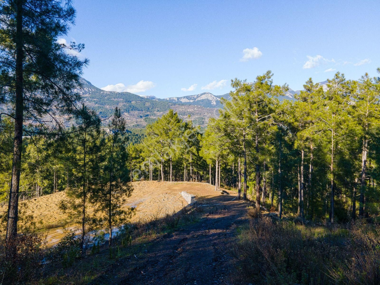 4661 M2 Satılık Tarla - Görsel 9