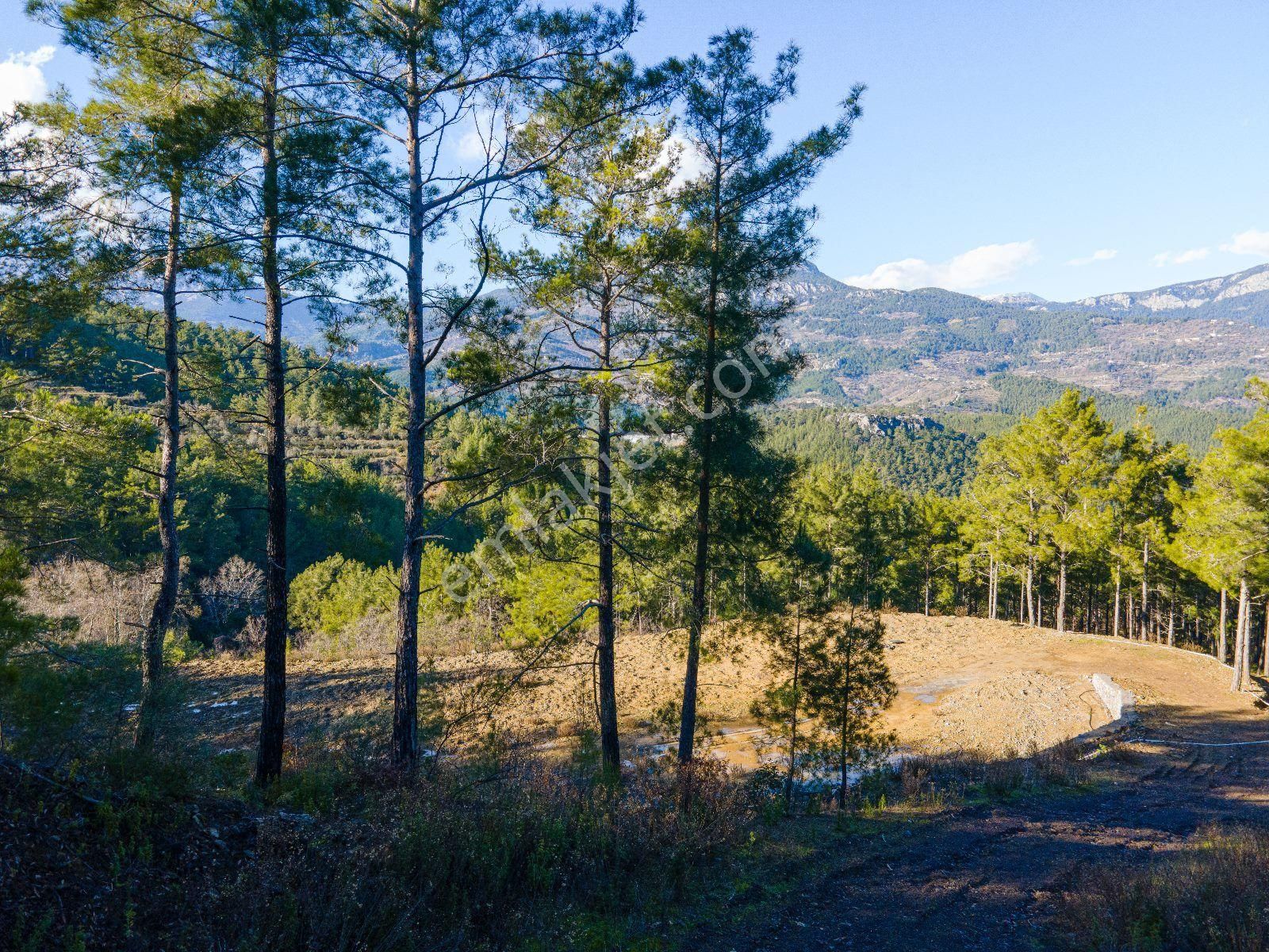 4661 M2 Satılık Tarla - Görsel 10