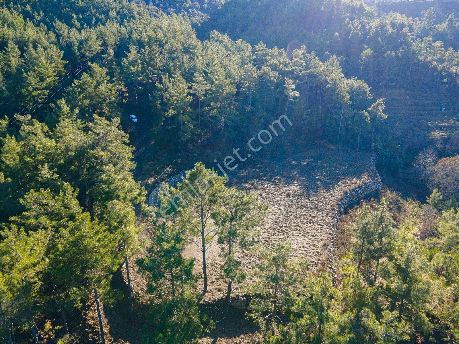 4661 M2 Satılık Tarla - Görsel 4