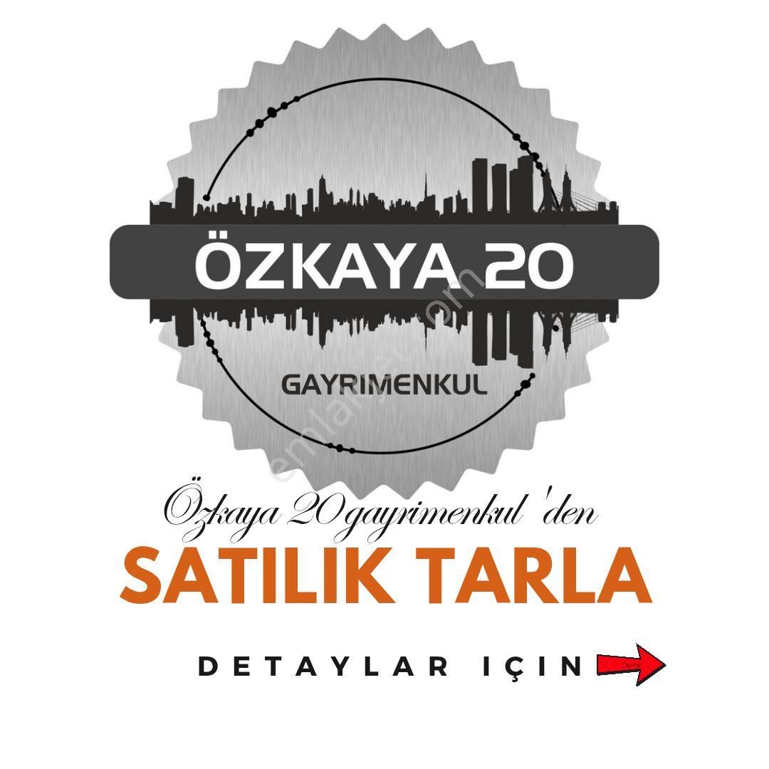 Tavas Aydoğdu Satılık Tarla Göl Manzaralı Satılık Tarla