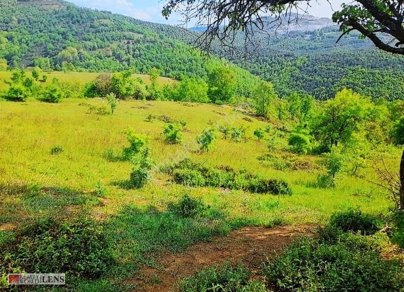 Yenice Karadoru Köyü Satılık Tarla Çanakkale Yenicede Fırsat Değerinde 6 Dönüme Yakın Arazi