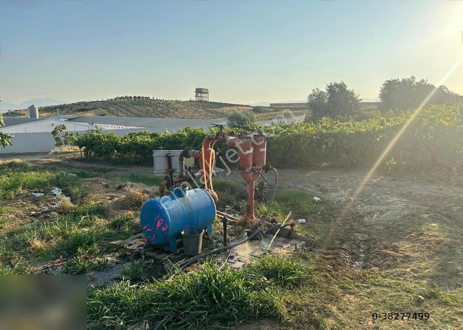 Turgutlu Musacalı Satılık Tarla Turgutlu,da 14 Dönüm Elektirik Suyu Olan Üzüm Bağı