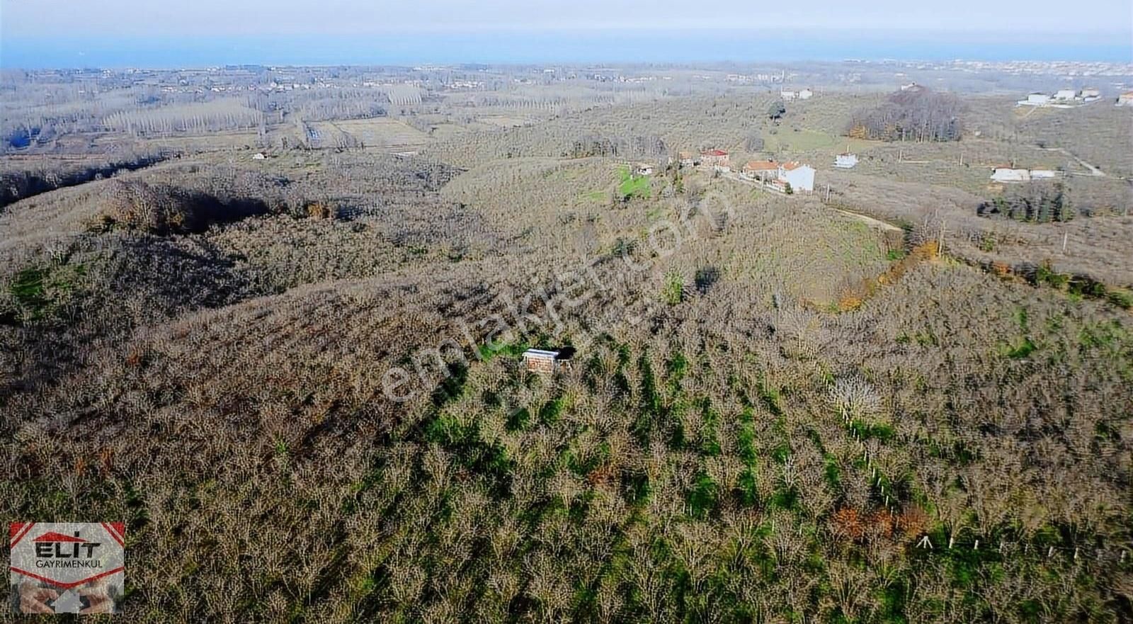 Karasu Manavpınarı Satılık Bağ & Bahçe Elit'ten Fırsat Satılık Ful Deniz Manzaralı Köy İçi Yatırımlık