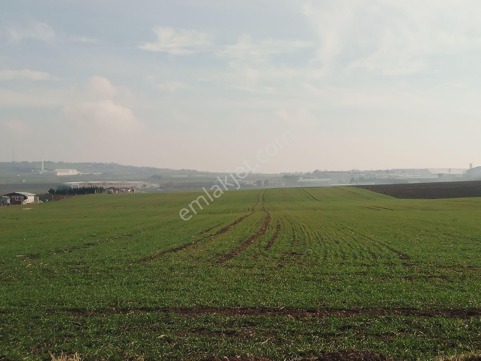 Silivri Gazitepe Satılık Tarla Silivri Gazitepe