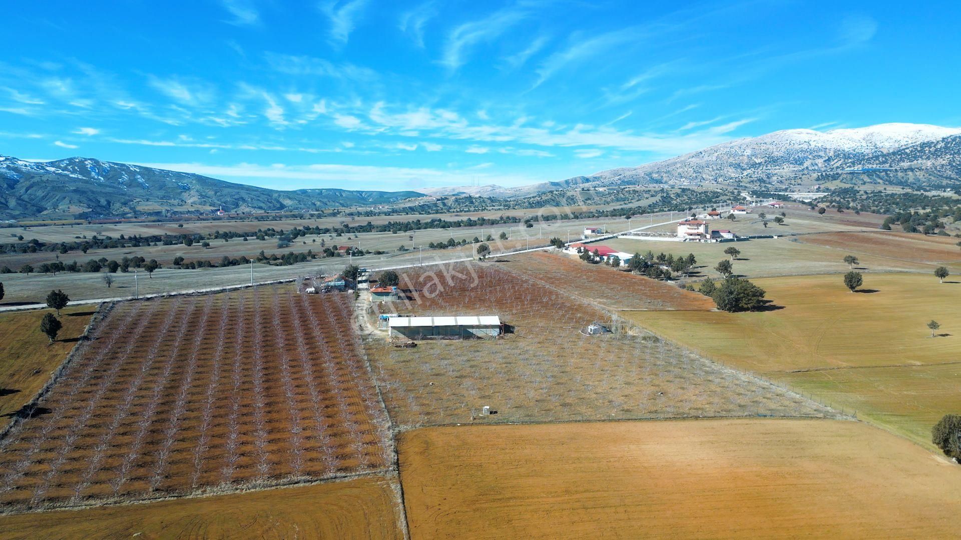 İçinde Evi Ahırı Toplam 650 Badem Ağacı Olan 15.000 M² Tarla - Görsel 23