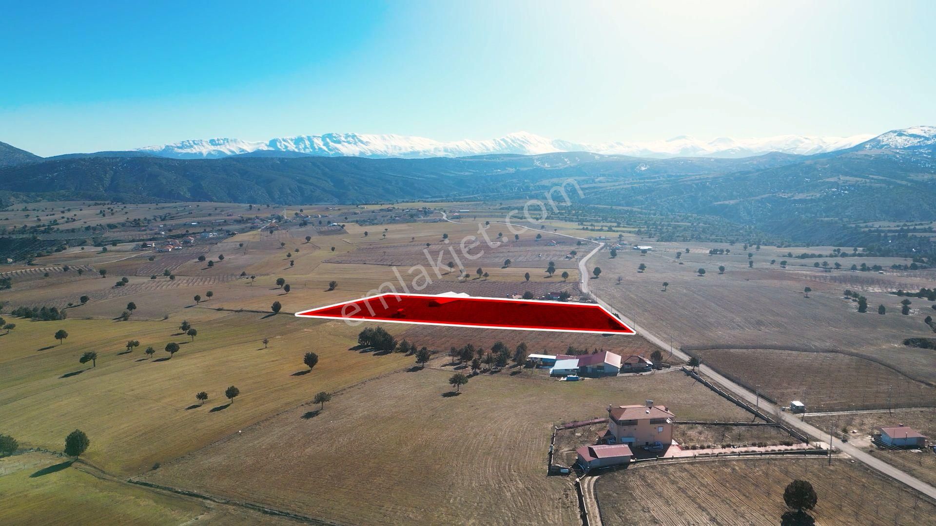 İçinde Evi Ahırı Toplam 650 Badem Ağacı Olan 15.000 M² Tarla - Görsel 6