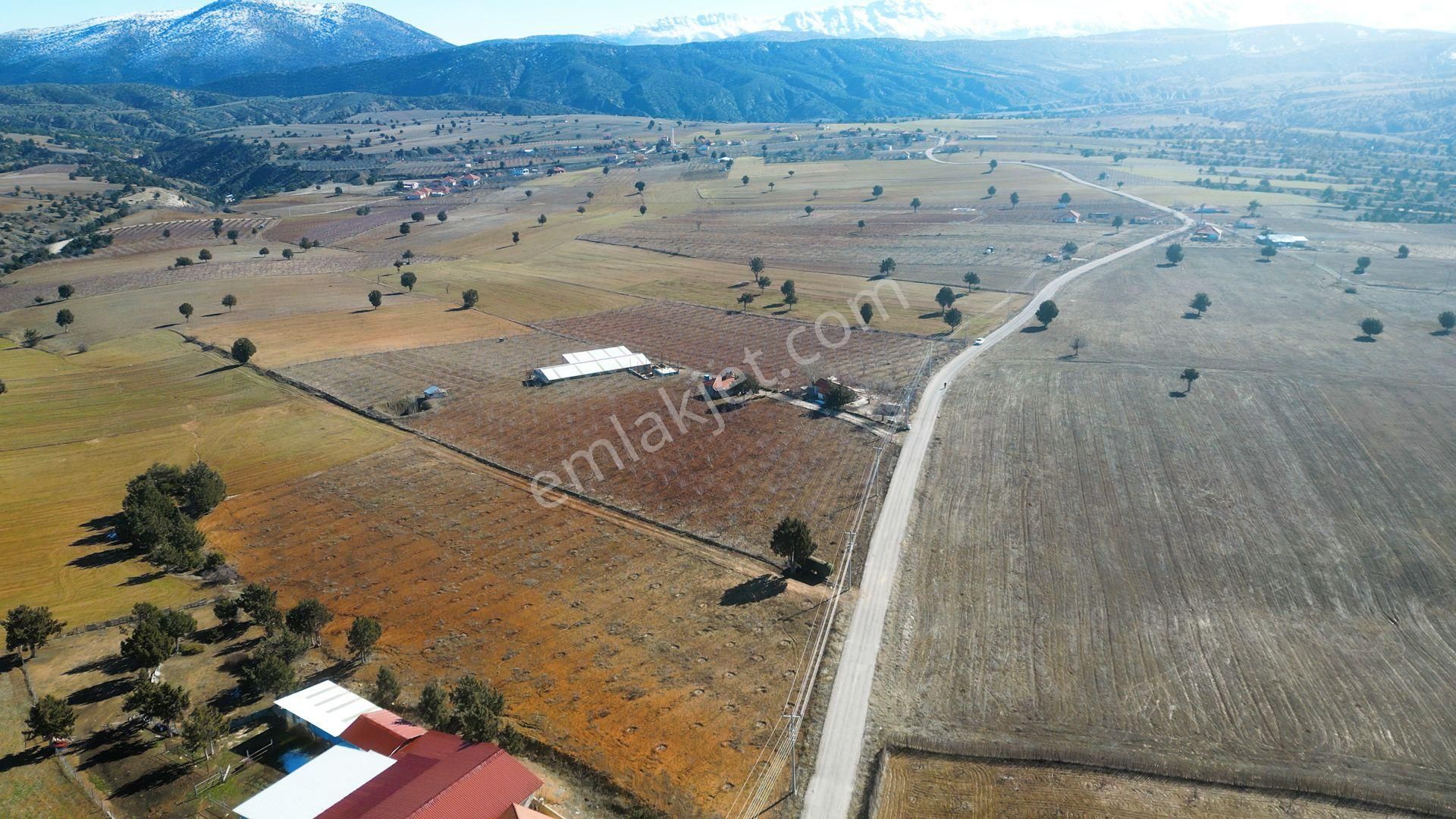 İçinde Evi Ahırı Toplam 650 Badem Ağacı Olan 15.000 M² Tarla - Görsel 16