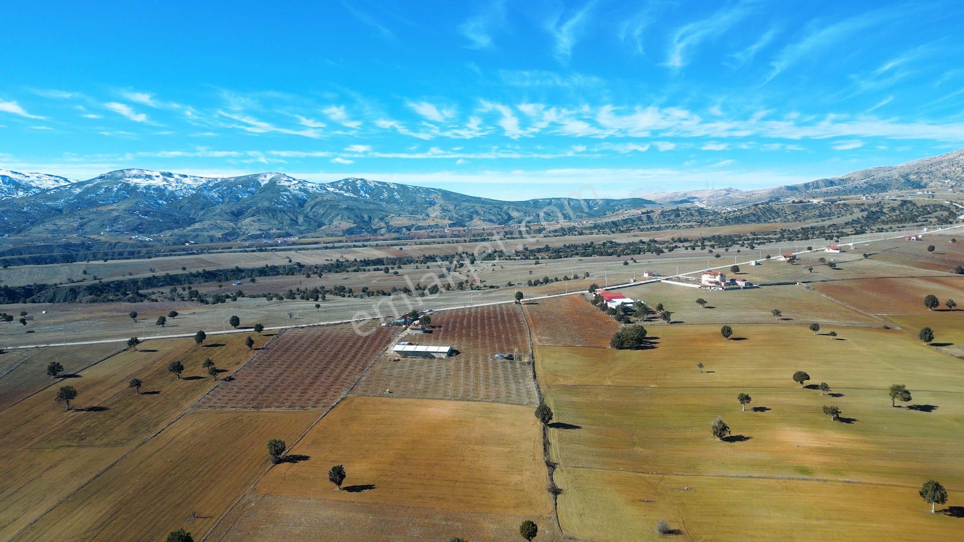 İçinde Evi Ahırı Toplam 650 Badem Ağacı Olan 15.000 M² Tarla - Görsel 24