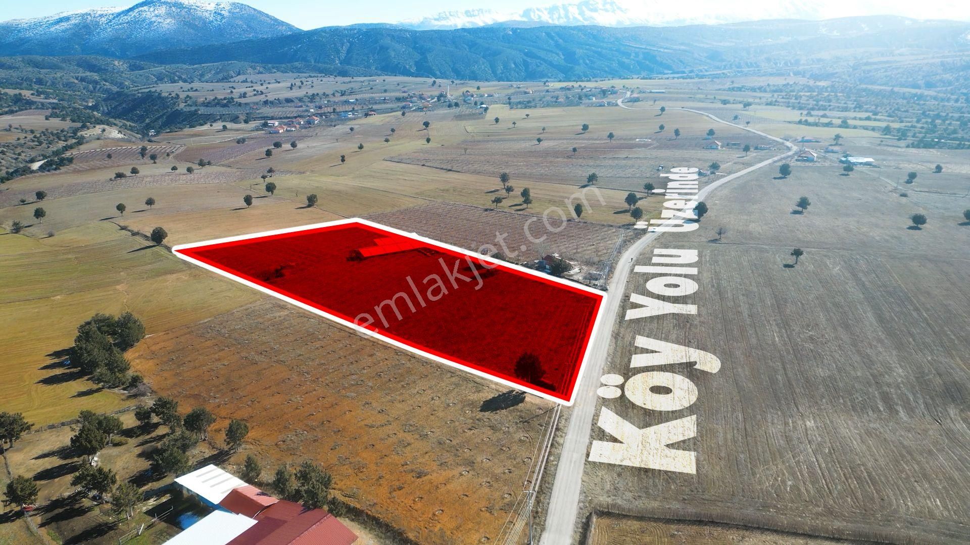 İçinde Evi Ahırı Toplam 650 Badem Ağacı Olan 15.000 M² Tarla - Görsel 3