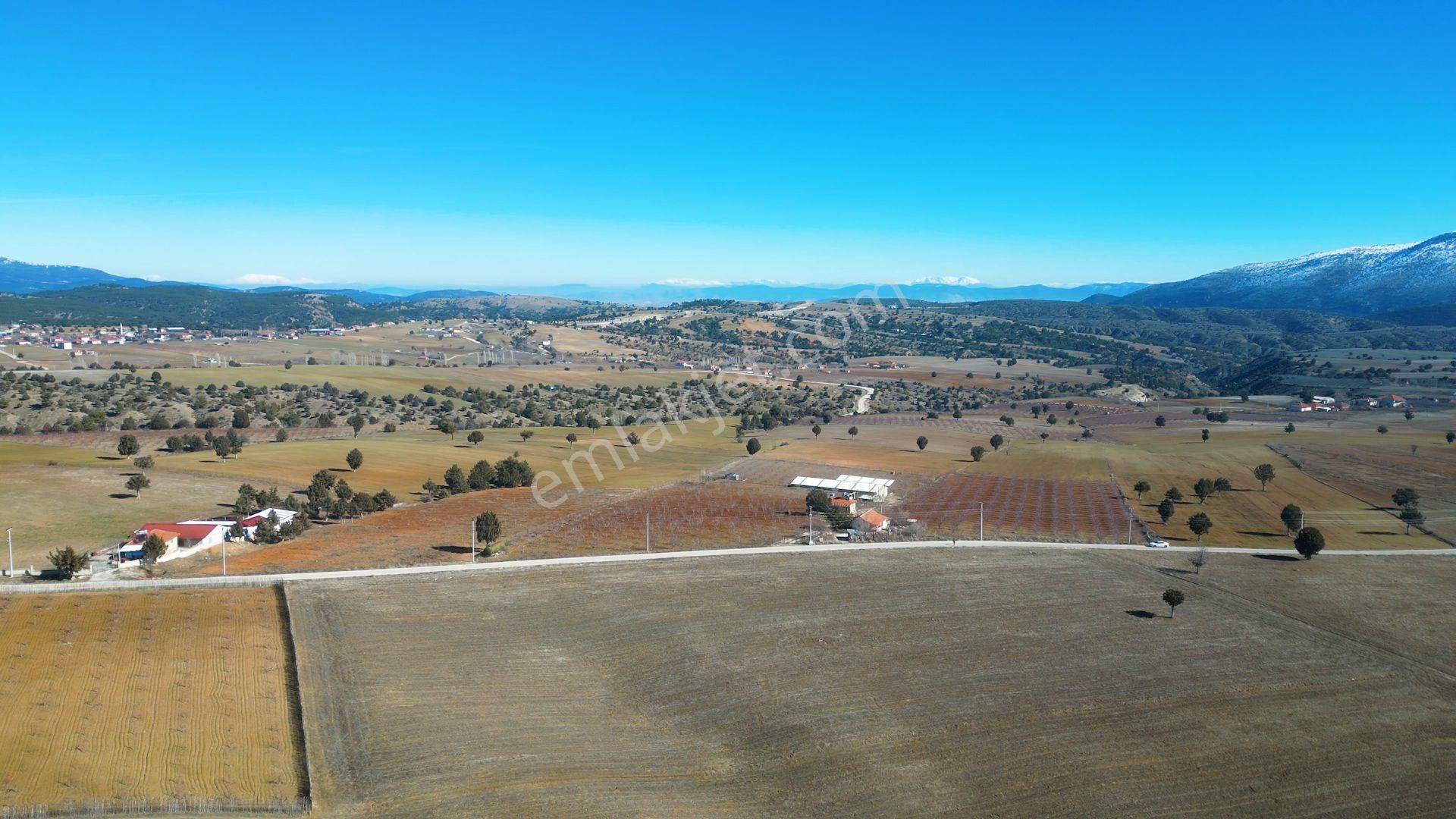 İçinde Evi Ahırı Toplam 650 Badem Ağacı Olan 15.000 M² Tarla - Görsel 28