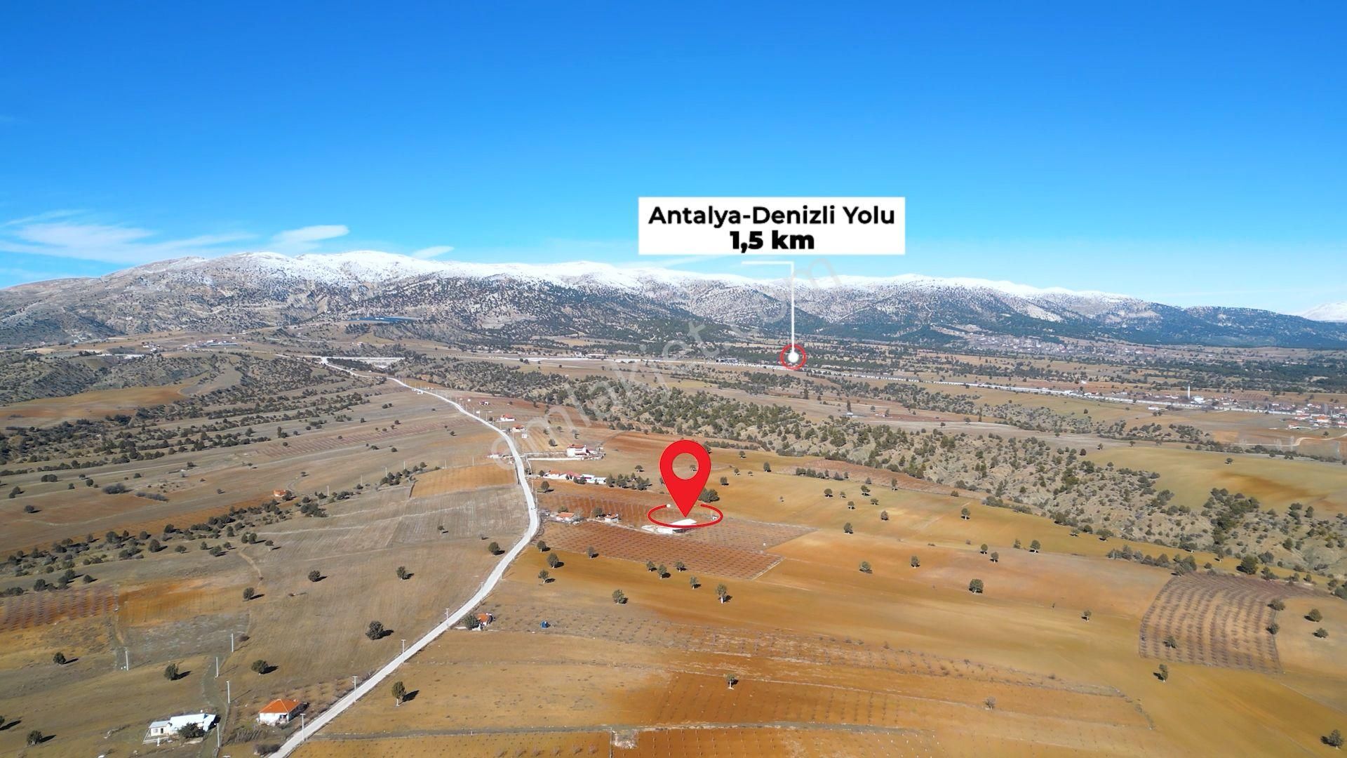 İçinde Evi Ahırı Toplam 650 Badem Ağacı Olan 15.000 M² Tarla - Görsel 5