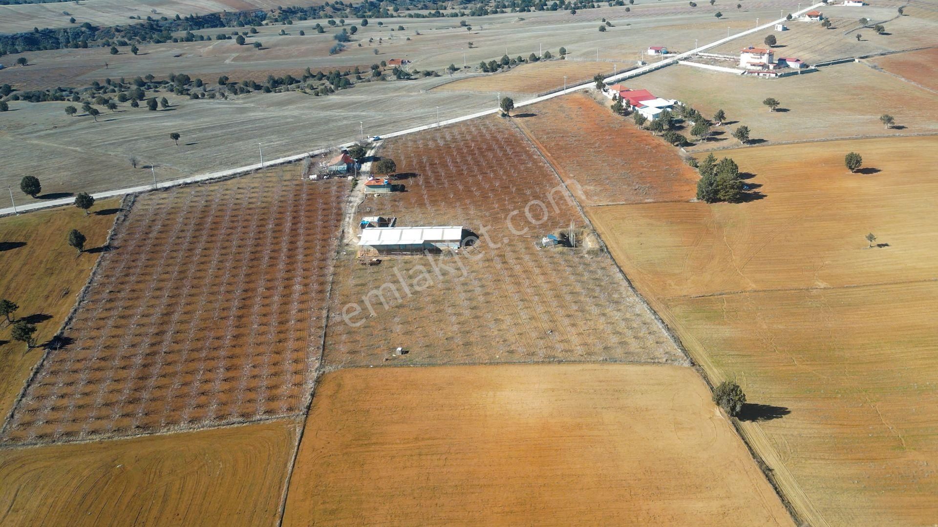 İçinde Evi Ahırı Toplam 650 Badem Ağacı Olan 15.000 M² Tarla - Görsel 31