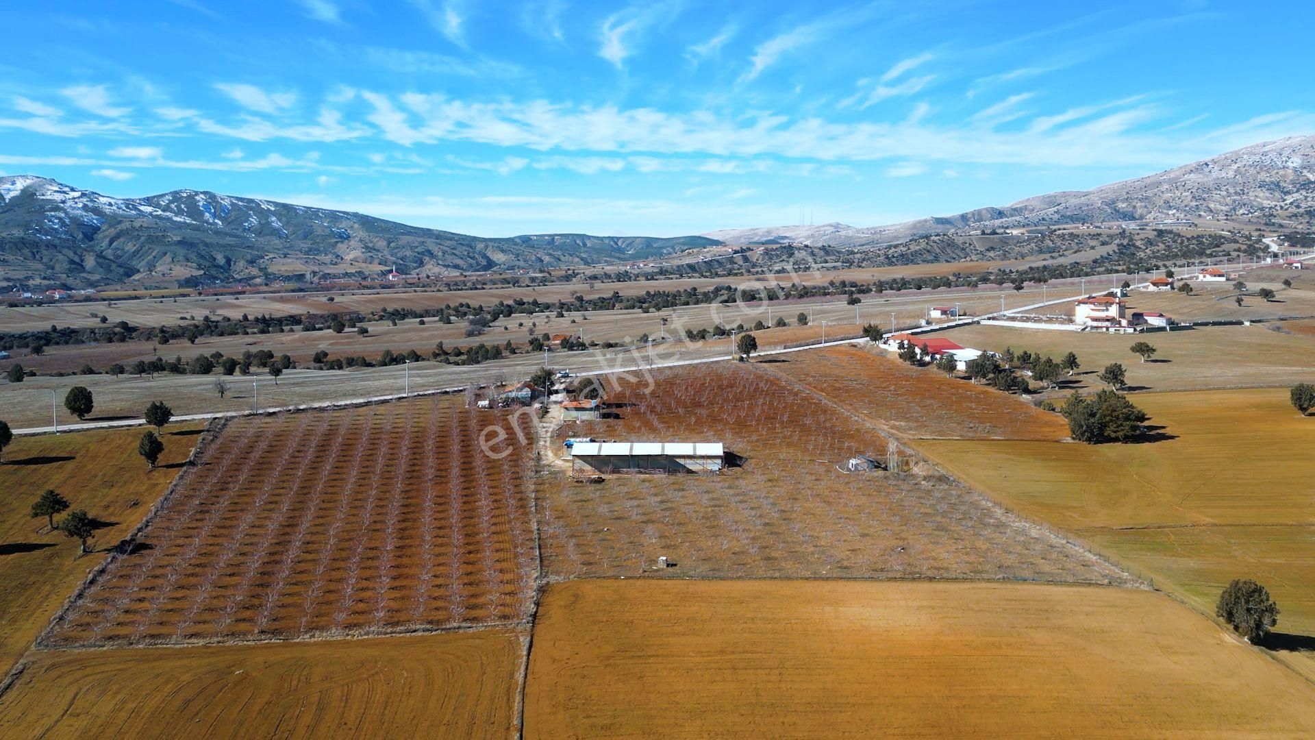 İçinde Evi Ahırı Toplam 650 Badem Ağacı Olan 15.000 M² Tarla - Görsel 19