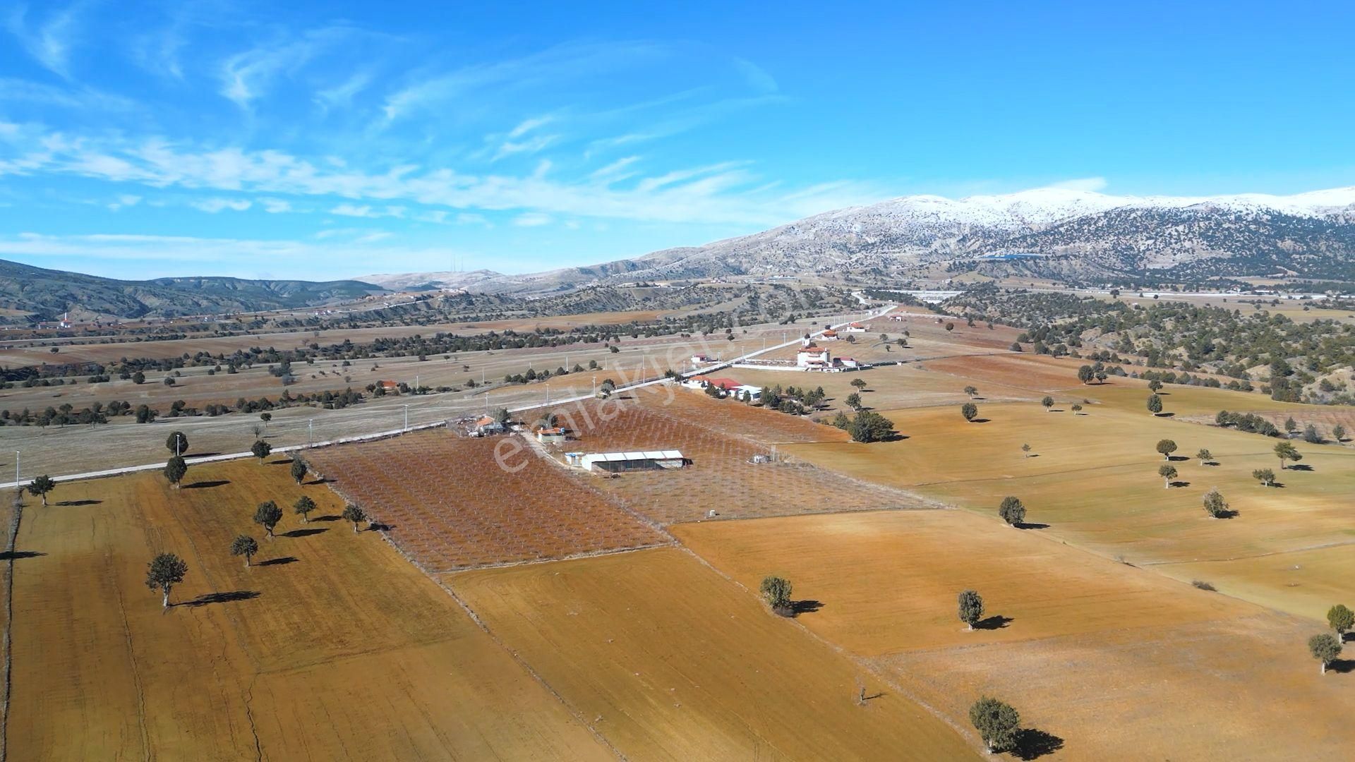 İçinde Evi Ahırı Toplam 650 Badem Ağacı Olan 15.000 M² Tarla - Görsel 7