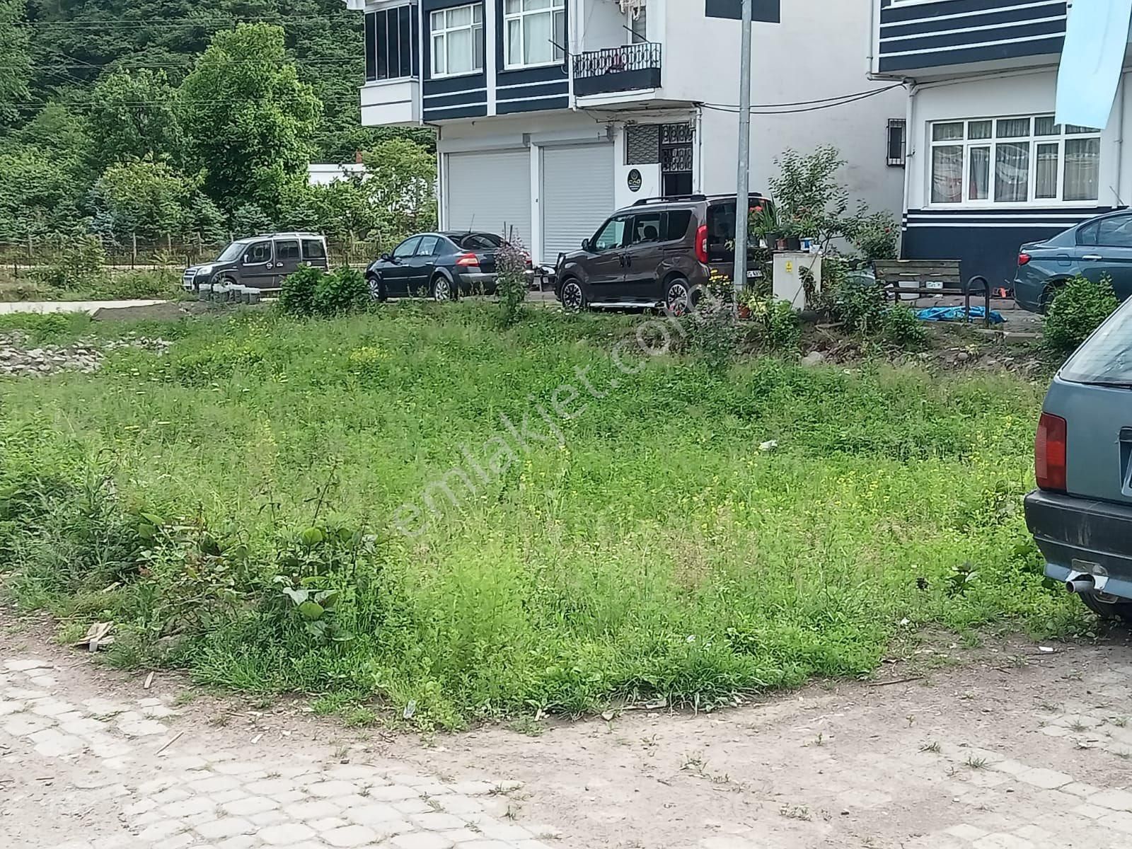 Yalıköy Merkezde Satılık İmarlı Arsa - Görsel 5