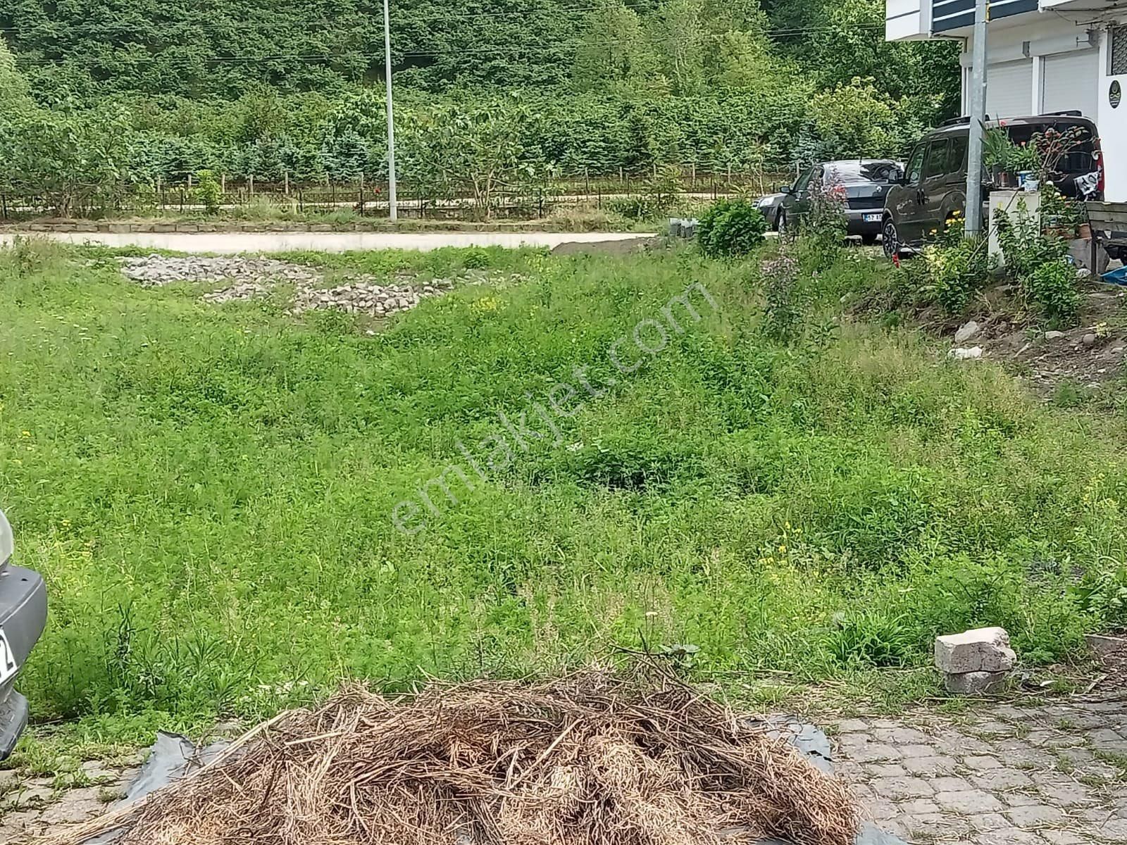 Yalıköy Merkezde Satılık İmarlı Arsa - Görsel 7