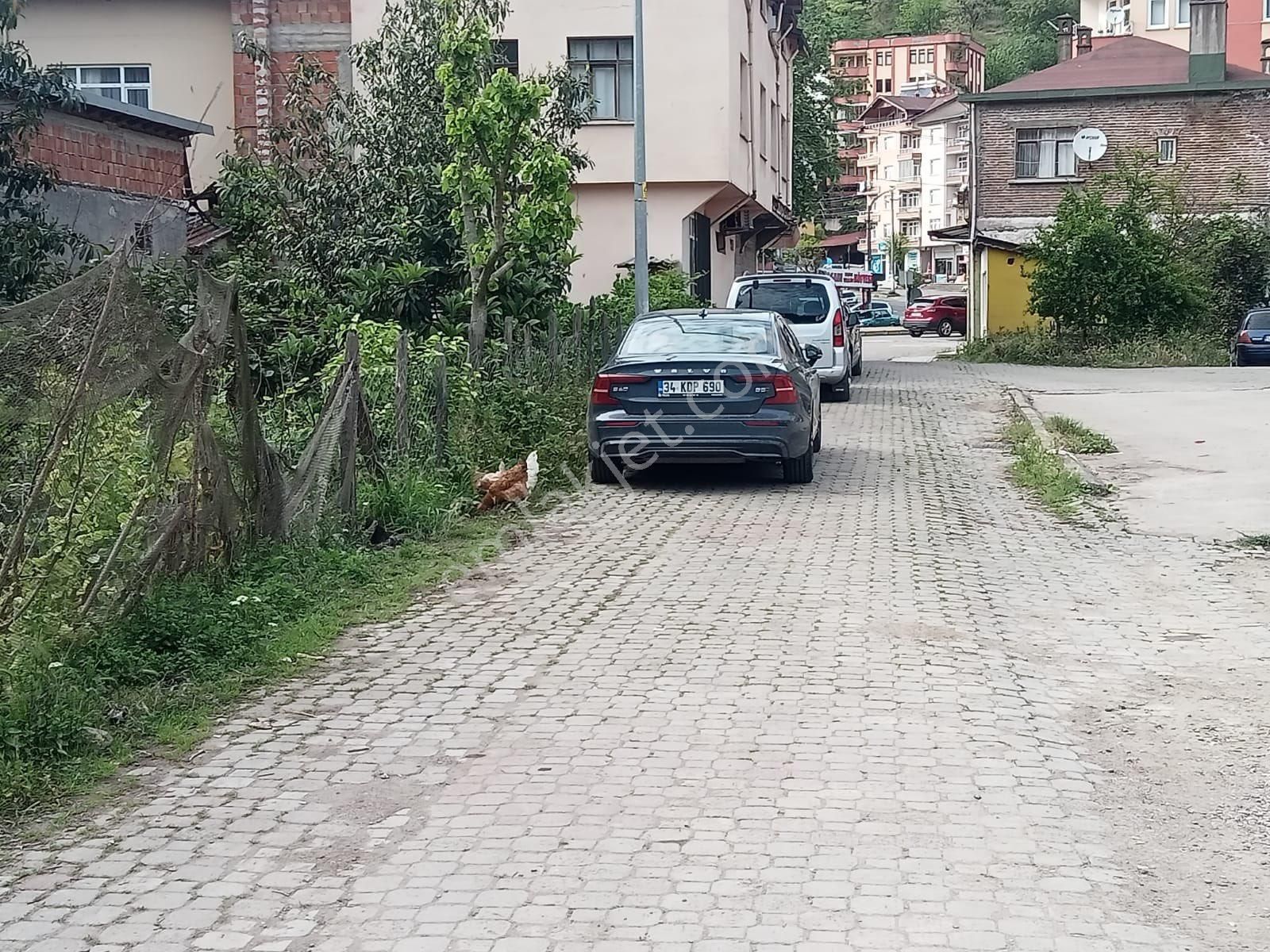 Yalıköy Merkezde Satılık İmarlı Arsa - Görsel 6
