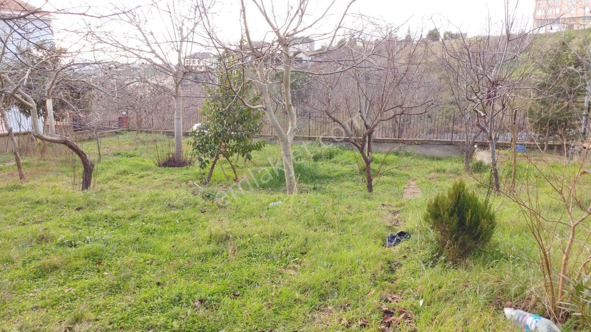 Çavuşbaşı Yavuzselim'de 1000 M2 Arsa İçerisinde 3 Katlı Müstakil - Görsel 21