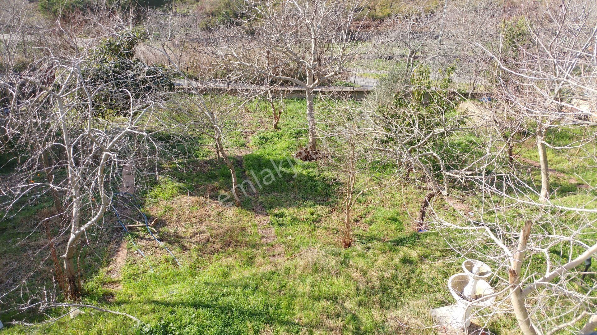 Çavuşbaşı Yavuzselim'de 1000 M2 Arsa İçerisinde 3 Katlı Müstakil - Görsel 20