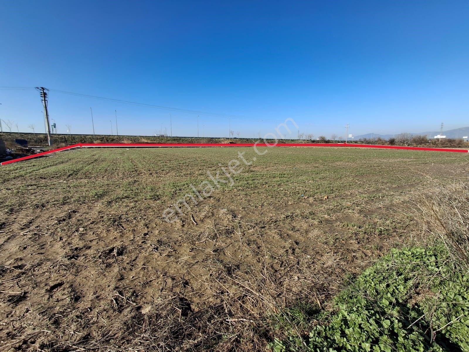 Menemen Ulukent 29 Ekim Mah. 5916 M2 Satılık Tarla - Görsel 13